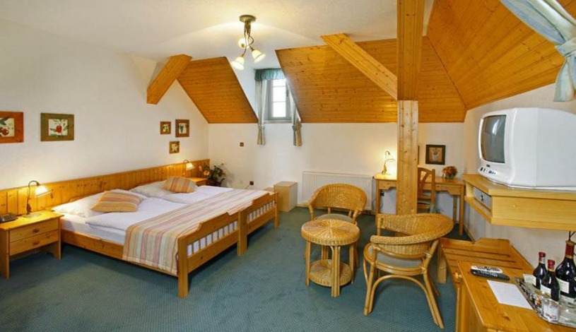 Hotel Sant Georg Mariánské Lázně - Dvoulůžkový bez balkonu, Jednolůžkový bez balkonu
